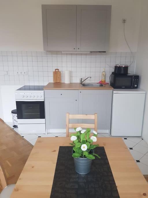 Studio In Dresden Neustadt Louisenstrasse Esterno foto